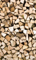 Dimex Timber Logs Wall Mural 150x250cm 2 Panels | Yourdecoration.com