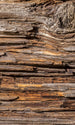 Dimex Tree Bark Wall Mural 150x250cm 2 Panels | Yourdecoration.com