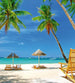 Dimex Tropical Beach Wall Mural 225x250cm 3 Panels | Yourdecoration.com