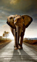 Dimex Walking Elephant Wall Mural 150x250cm 2 Panels | Yourdecoration.com