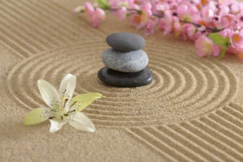 Dimex Zen Garden Wall Mural 375x250cm 5 Panels | Yourdecoration.com