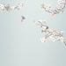 Komar Apple Bloom Non Woven Wall Murals 250x250cm 5 panels | Yourdecoration.com