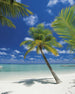 Komar Ari Atoll Wall Mural 184x254cm | Yourdecoration.com