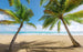 Komar Caribbean Days II Non Woven Wall Mural 450x280cm 9 Panels | Yourdecoration.com