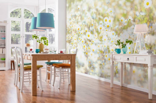 Komar Daisies Wall Mural 368x254cm | Yourdecoration.com