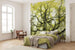 Komar Der Traumbaum Non Woven Wall Mural 300x280cm 6 Panels Ambiance | Yourdecoration.com