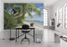 Komar Fiji Dreams Boat Non Woven Wall Mural 450x280cm 9 Panels Ambiance | Yourdecoration.com