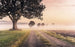 Komar Misty Morning Non Woven Wall Mural 400x250cm 4 Panels | Yourdecoration.com