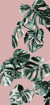 Komar Monstera Rose Groen Non Woven Wall Mural 100x250cm 1 baan | Yourdecoration.com