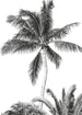 Komar Non Woven Wall Mural Iax4 0011 Retro Palm  | Yourdecoration.com