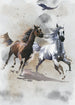 Komar Non Woven Wall Mural Iax4 0030 Wild Ride | Yourdecoration.com