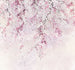 Komar Non Woven Wall Mural Inx6 013 Kirschblüten | Yourdecoration.com