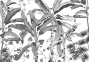 Komar Non Woven Wall Mural Inx8 082 Croissances Monochrome | Yourdecoration.com