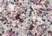 Komar Non Woven Wall Mural X7 1017 Lovely Blossoms | Yourdecoration.com