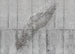 Komar Non Woven Wall Mural X7 1023 Concrete Feather | Yourdecoration.com