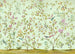 Komar Oiseaux du Paradis Non Woven Wall Murals 350x250cm 7 panels | Yourdecoration.com