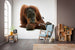 Komar Orang Oetan Non Woven Wall Mural 300X280Cm 6 Parts Ambiance | Yourdecoration.com