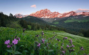 Komar Picturesque Switzerland Non Woven Wall Mural 450x280cm 9 Panels | Yourdecoration.com