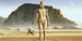 Komar Star Wars Classic RMQ Droids Non Woven Wall Mural 500x250cm 10 Panels | Yourdecoration.com