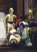 Komar Star Wars Three Droids Wall Mural 184x254cm | Yourdecoration.com