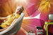 Komar Summer Sun Wall Mural 368x254cm | Yourdecoration.com