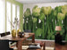 Komar Tulips Wall Mural 368x254cm | Yourdecoration.com