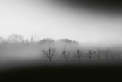 Wizard+Genius Foggy Landscape Non Woven Wall Mural 384x260cm 8 Panels | Yourdecoration.com