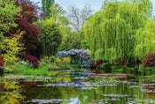 Wizard+Genius Monets Garden in France Non Woven Wall Mural 384x260cm 8 Panels | Yourdecoration.com