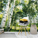 Wizard+Genius Sunshine Forest Wall Mural 366x254cm 8 Panels Ambiance | Yourdecoration.com