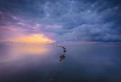 Wizard+Genius Wetland Sunrise Non Woven Wall Mural 384x260cm 8 Panels | Yourdecoration.com