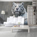 Wall Mural - Bengaalse Tijger in Dierentuin 400x309cm - Non-Woven Murals